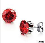 Stainless Stee Earring