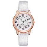 Brand Women Simple Dial Wristwatches